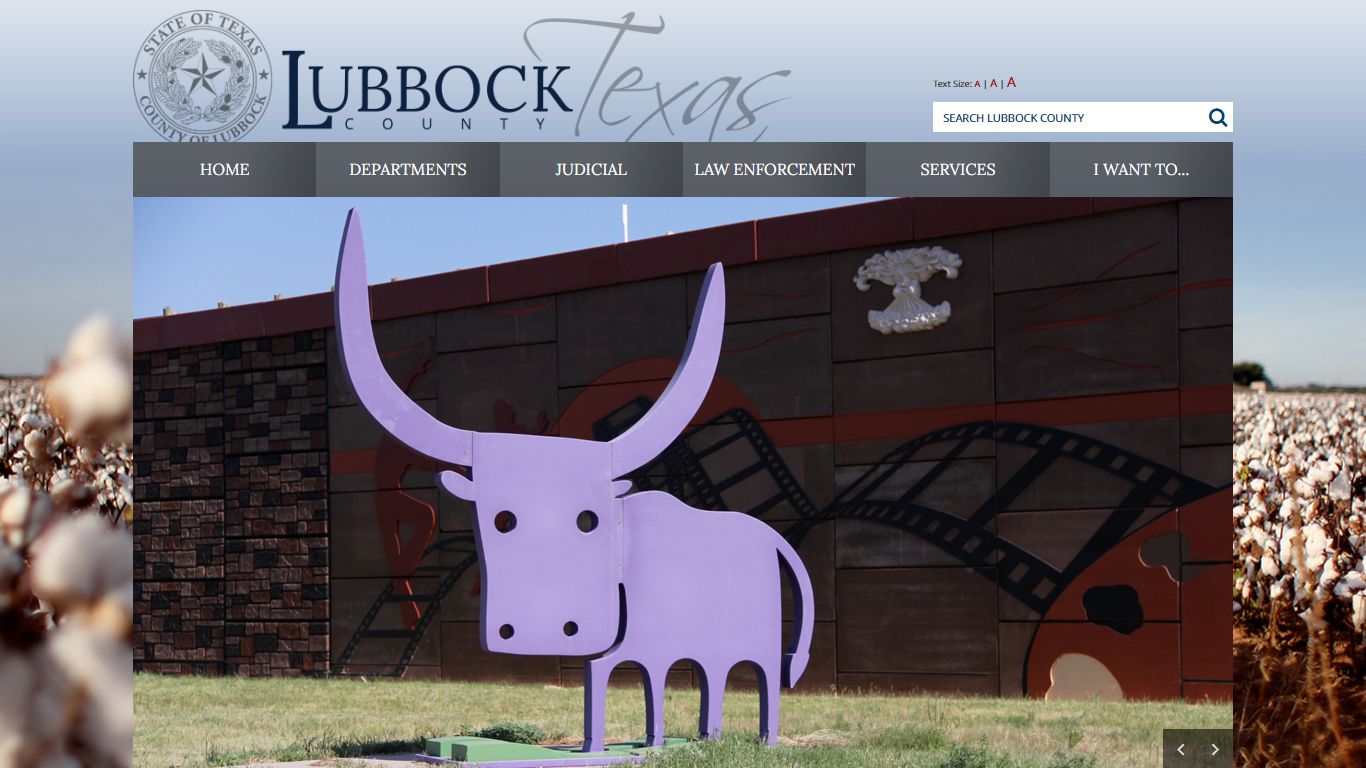 Online Access to Court Records - Lubbock County, Texas